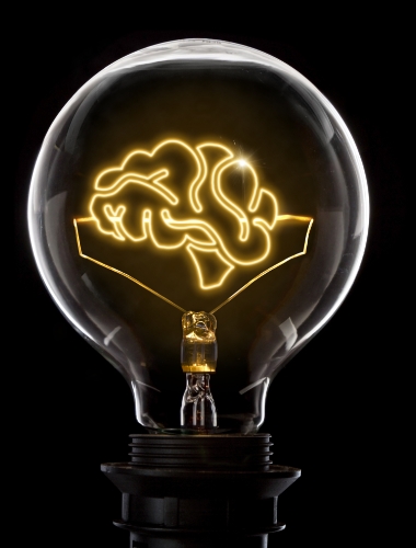 A light bulb with brain-like filament representing the brighter business negotiations through DD Consulting Academy Programs
